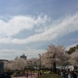 桜満開の「東京ミッドタウン」