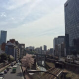 桜満開の飯田橋駅付近の街並み