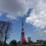 桜満開の「芝公園」から眺めた東京タワー