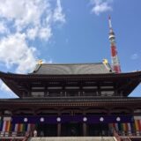 桜満開の「増上寺」と東京タワー