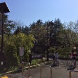 桜満開の「駒沢オリンピック公園」
