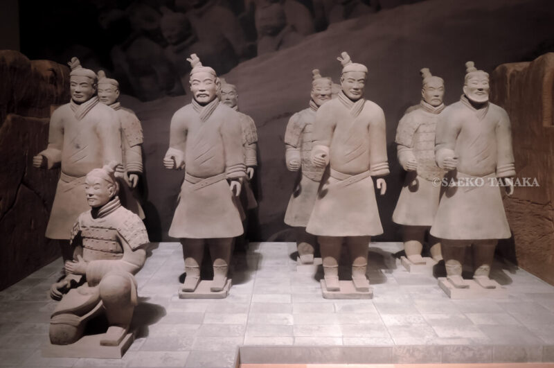 東京・上野の東京国立博物館で開催された特別展「始皇帝と大兵馬俑」