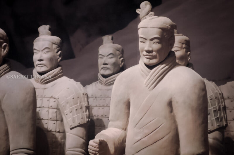 東京・上野の東京国立博物館で開催された特別展「始皇帝と大兵馬俑」
