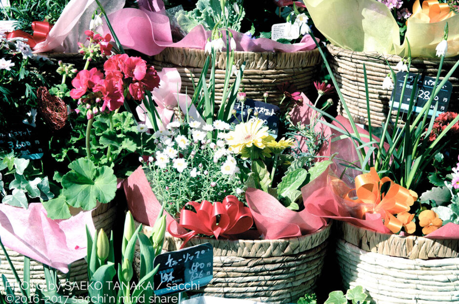 花屋の店先で販売されている切り花