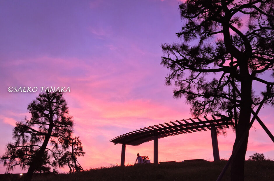 真夏の雨上がりの夕方に広がる、鮮やかな夕焼け空が美しい、東京城南エリアの東京都大田区大森にある「大森ふるさとの浜辺公園」