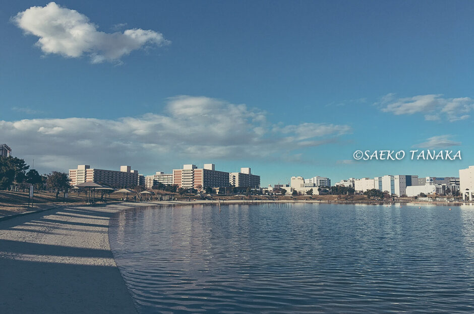 大森ふるさとの浜辺公園