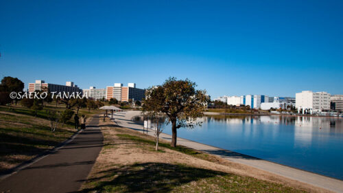 大森ふるさとの浜辺公園