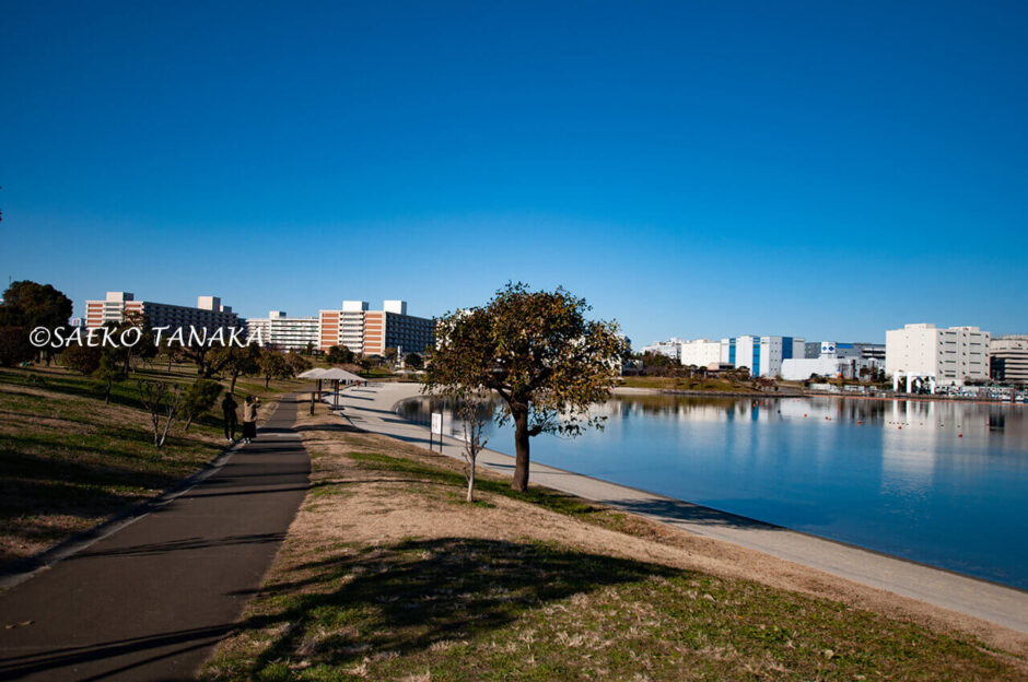 大森ふるさとの浜辺公園