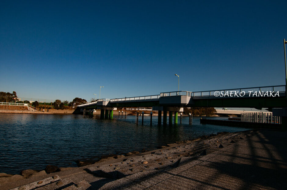 「昭和島」の見晴らしばしと見晴らしばし公園