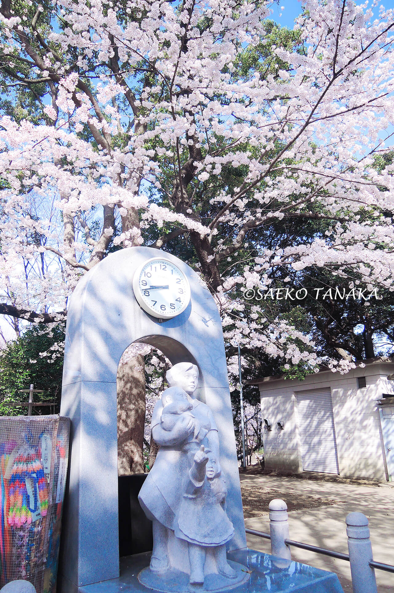 桜満開の「上野恩賜公園」