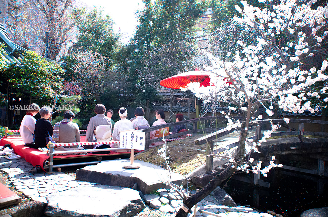 満開の紅梅白梅が楽しめる東京の梅名所、湯島天神/湯島天満宮で楽しめる梅まつり野点茶会