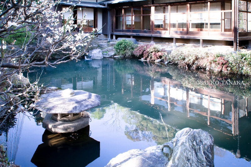 満開の紅梅白梅が楽しめる東京の梅名所、池上梅園の和室（集会室）と梅