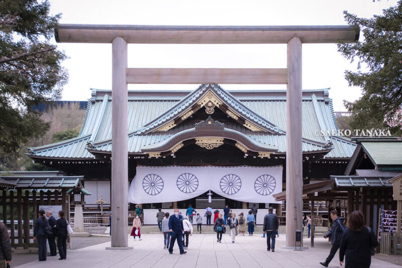 満開のソメイヨシノなどが楽しめる東京の桜名所、靖国神社/靖國神社の中門鳥居と拝殿