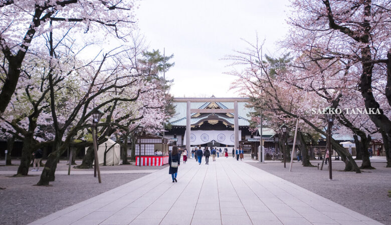 満開のソメイヨシノなどが楽しめる東京の桜名所、靖国神社/靖國神社の中門鳥居と拝殿