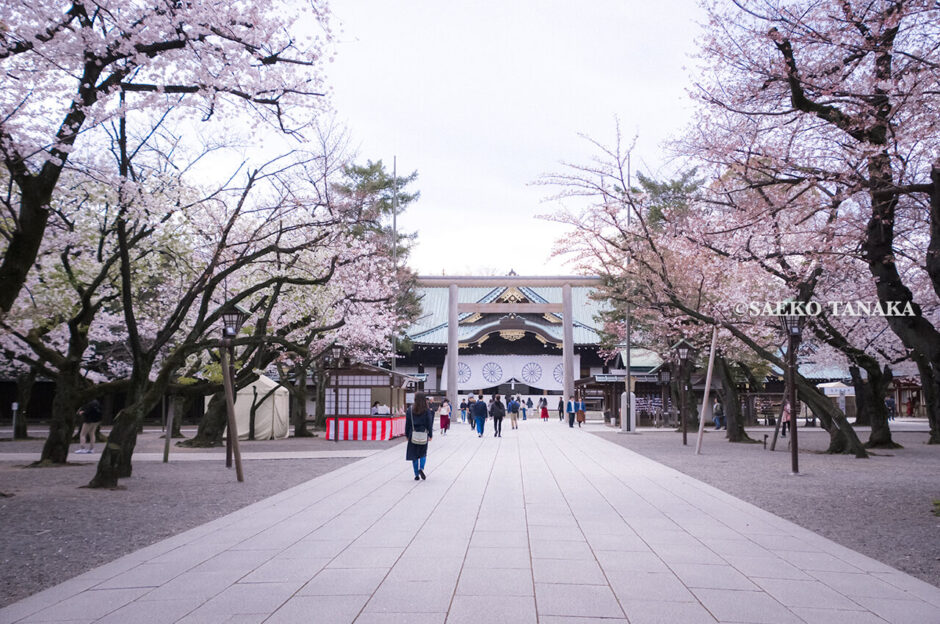 満開のソメイヨシノなどが楽しめる東京の桜名所、靖国神社/靖國神社の中門鳥居と拝殿