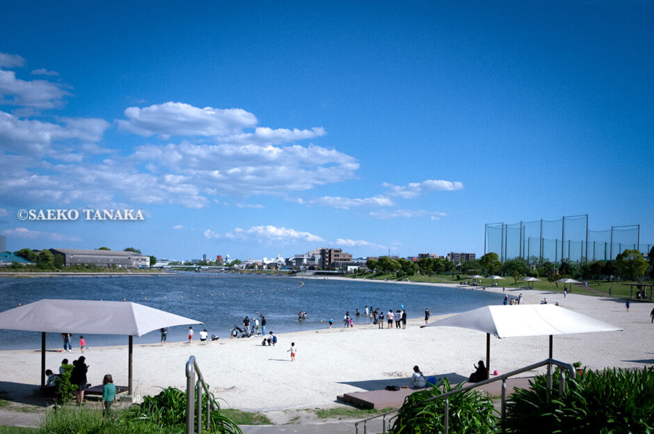 清々しい新緑・芝生と白い砂浜・青い海が気持ちよく、5月の青空と花木が映える、都内初の海浜公園「大森ふるさとの浜辺公園」