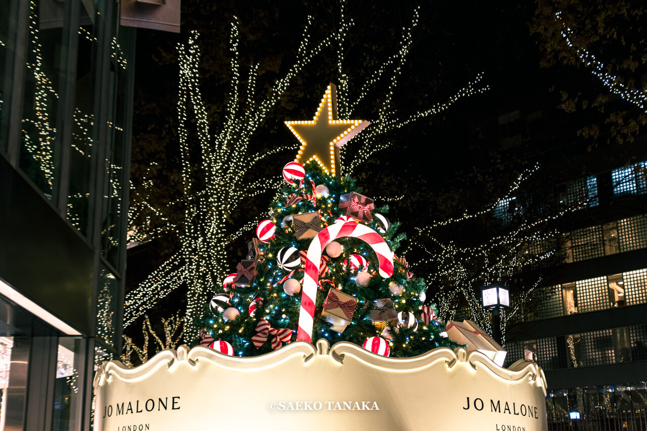 東京の人気おすすめイルミネーション・クリスマスツリー・クリスマスデコレーションスポット｜表参道ヒルズ / OMOTESANDO HILLS CHRISTMAS ILLUMINATION（東京・表参道）