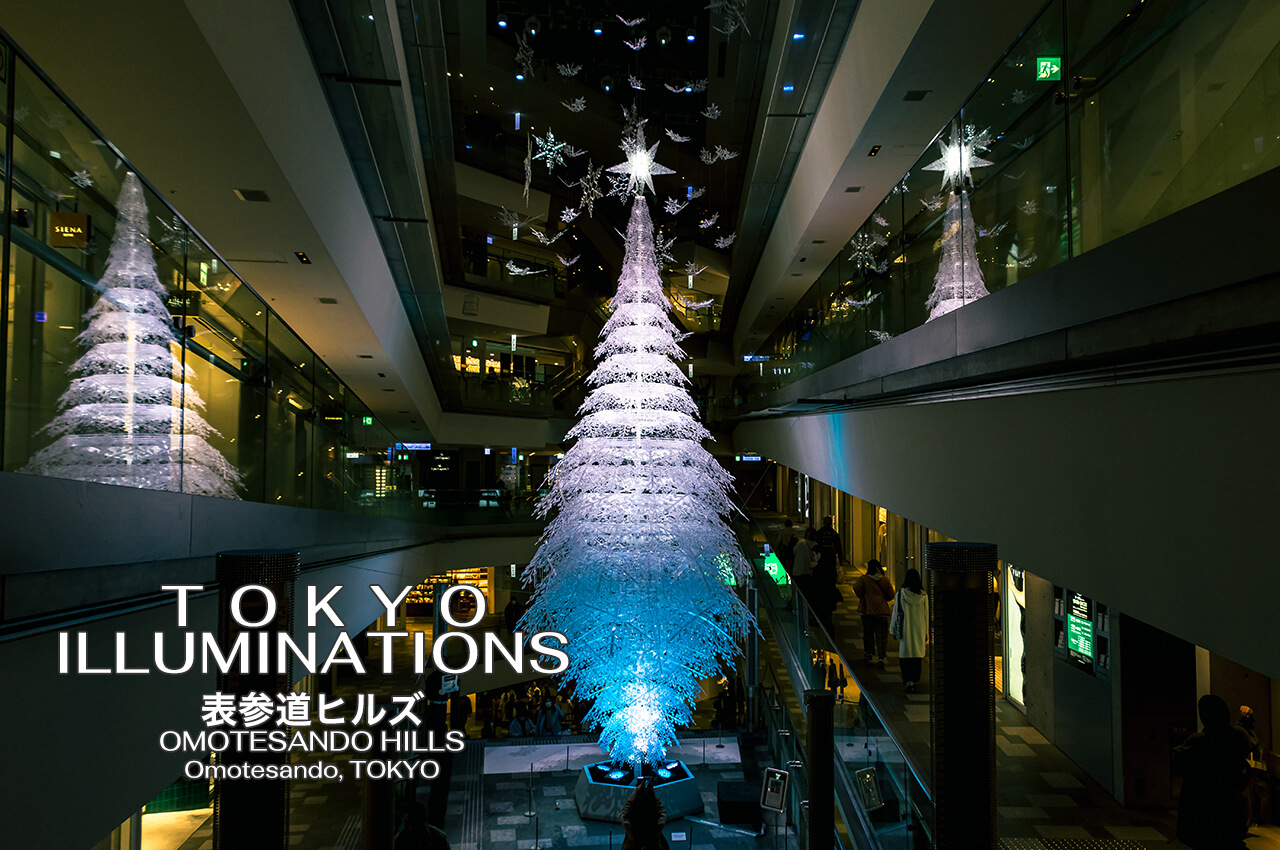 東京の人気おすすめイルミネーション・クリスマスツリー・クリスマスデコレーションスポット｜表参道ヒルズ / OMOTESANDO HILLS CHRISTMAS ILLUMINATION（東京・表参道）