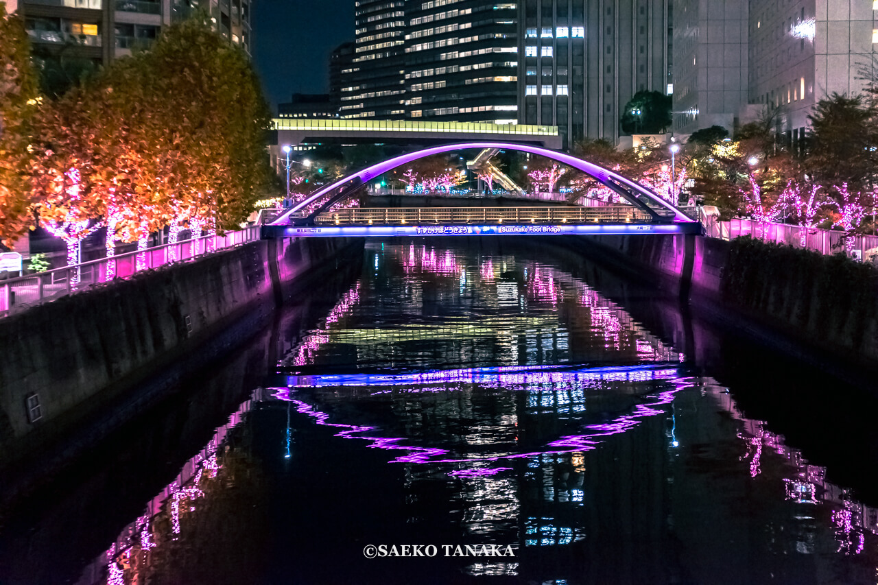 東京の人気おすすめイルミネーションスポット｜目黒川 / 目黒川みんなのイルミネーション（東京・大崎 / 五反田）