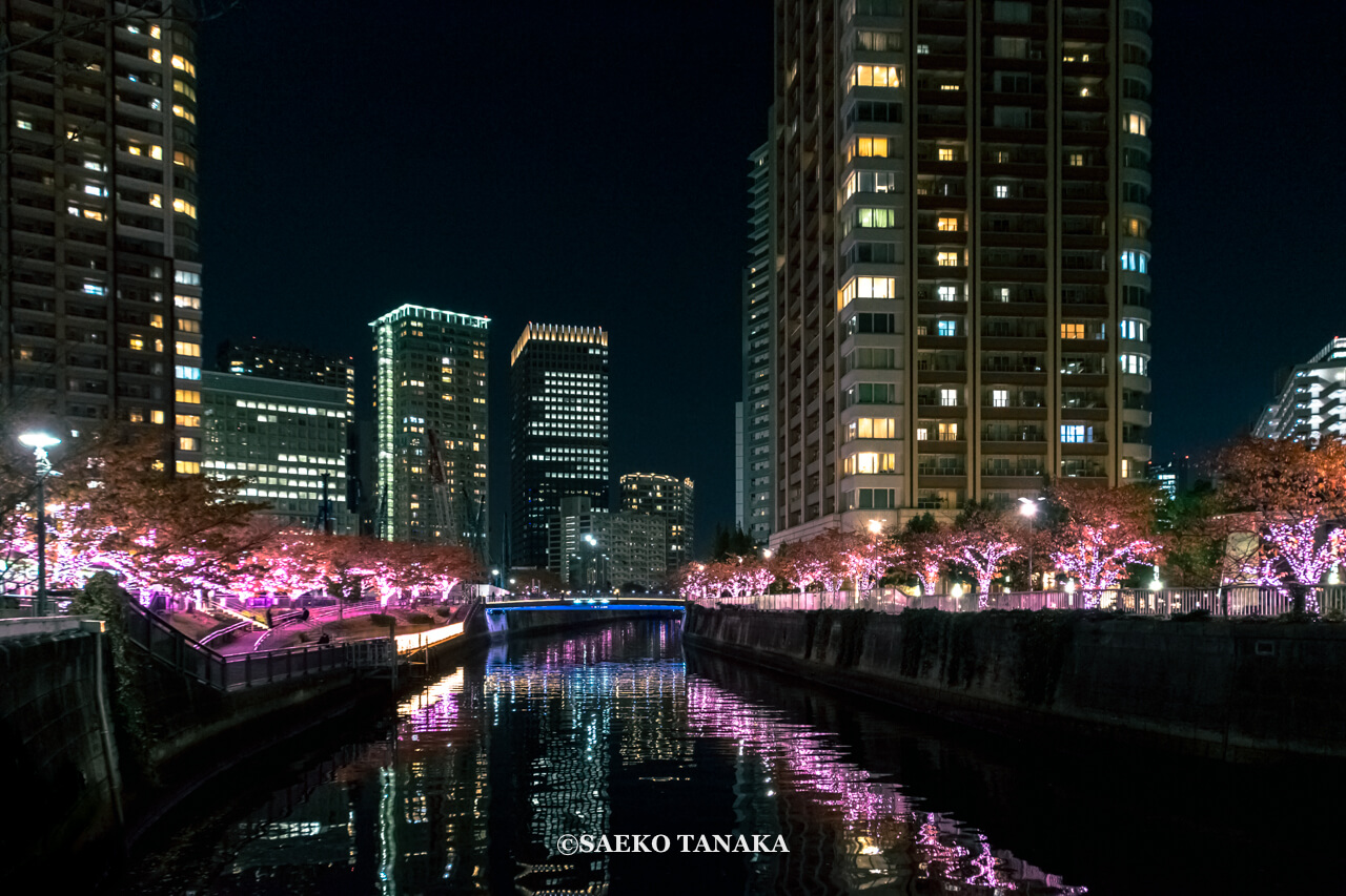 東京の人気おすすめイルミネーションスポット｜目黒川 / 目黒川みんなのイルミネーション（東京・大崎 / 五反田）