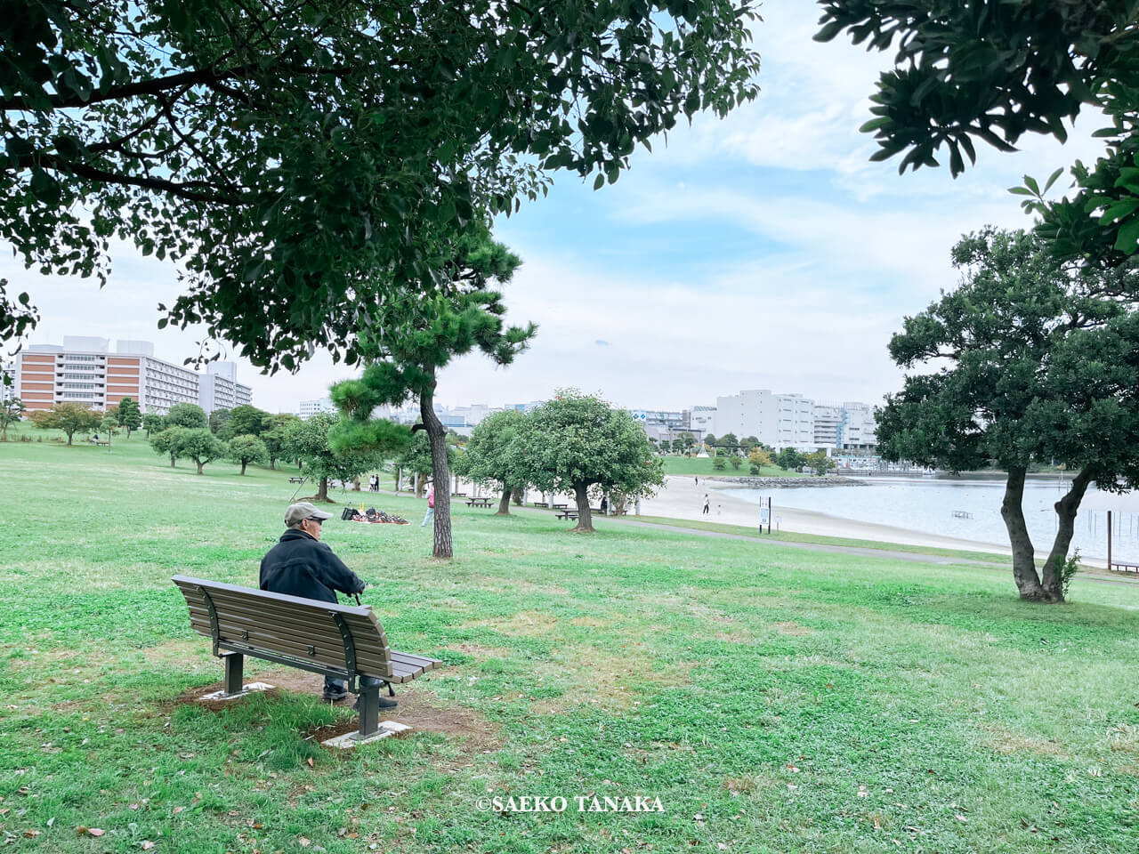 東京都大田区大森にある「大森ふるさとの浜辺公園」にて日課の散歩をする、フリーライター・カメラマン田中佐江子の父の生前の姿