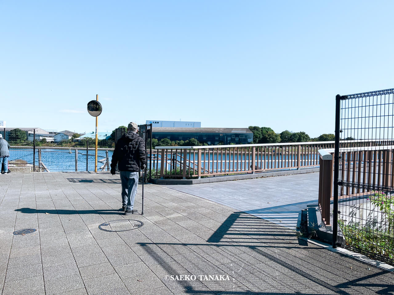 東京都大田区大森にある「大森ふるさとの浜辺公園」にて日課の散歩をする、フリーライター・カメラマン田中佐江子の父の生前の姿