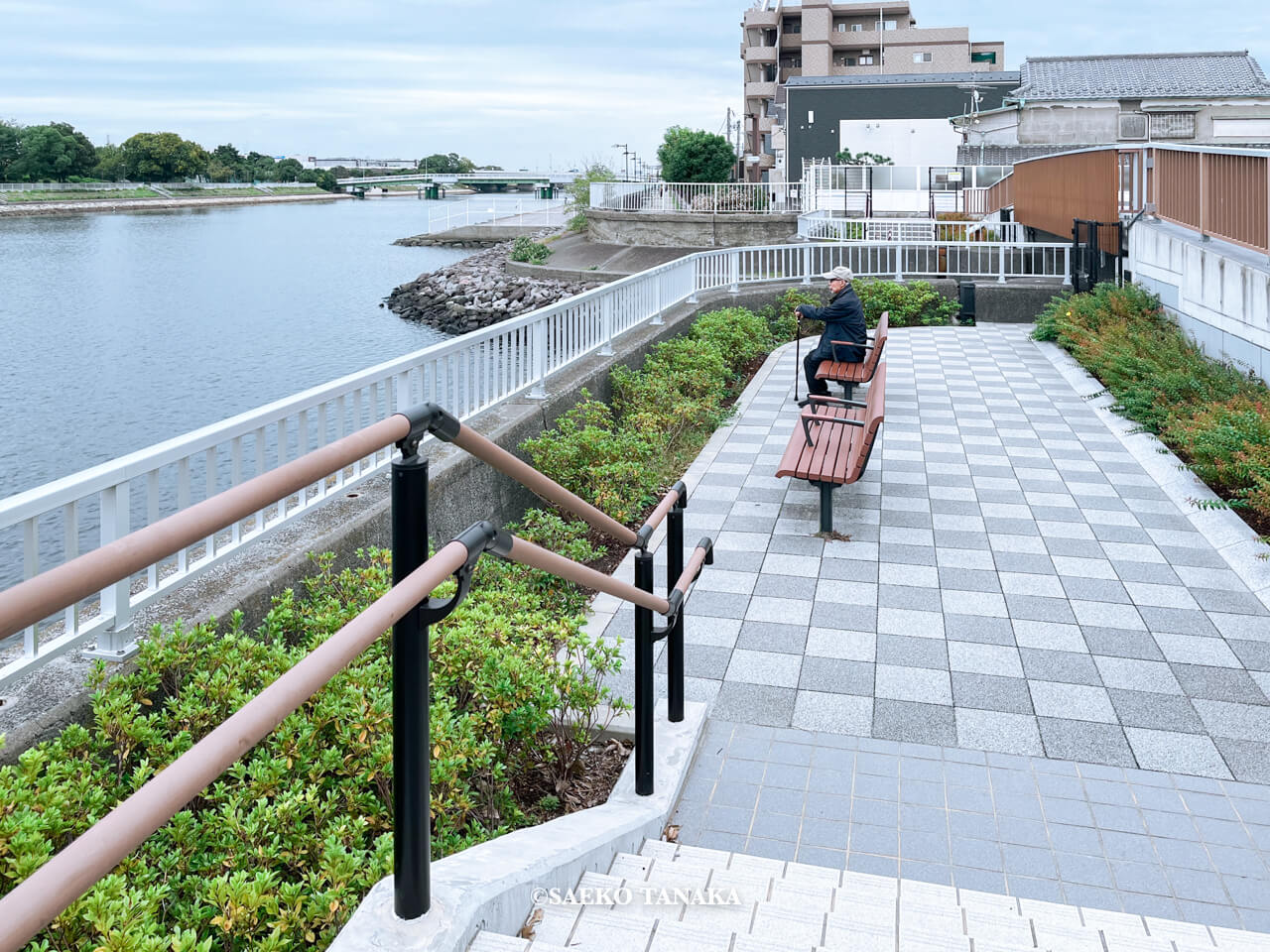 東京都大田区大森にある「大森ふるさとの浜辺公園」にて日課の散歩をする、フリーライター・カメラマン田中佐江子の父の生前の姿