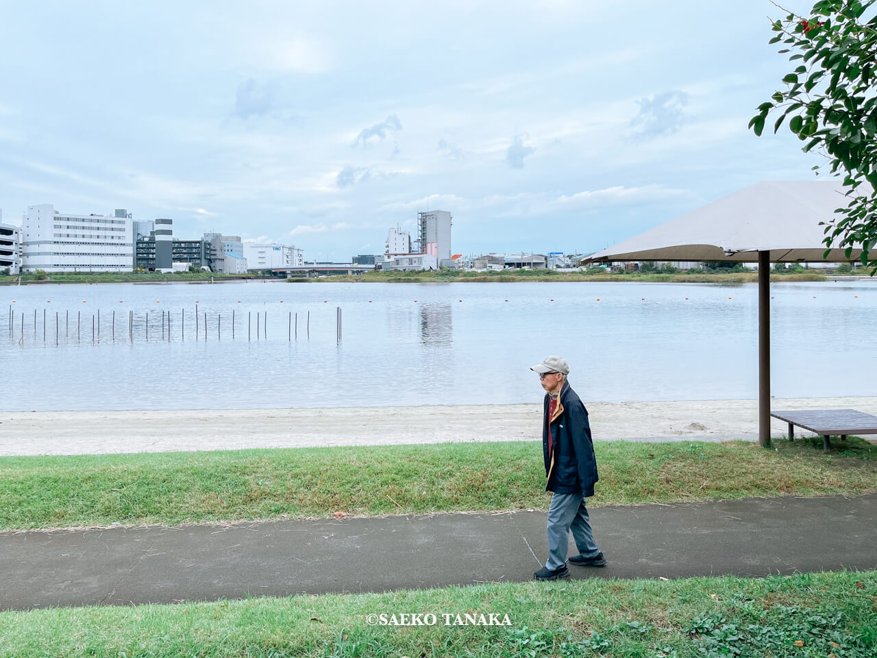 東京都大田区大森にある「大森ふるさとの浜辺公園」にて日課の散歩をする、フリーライター・カメラマン田中佐江子の父の生前の姿