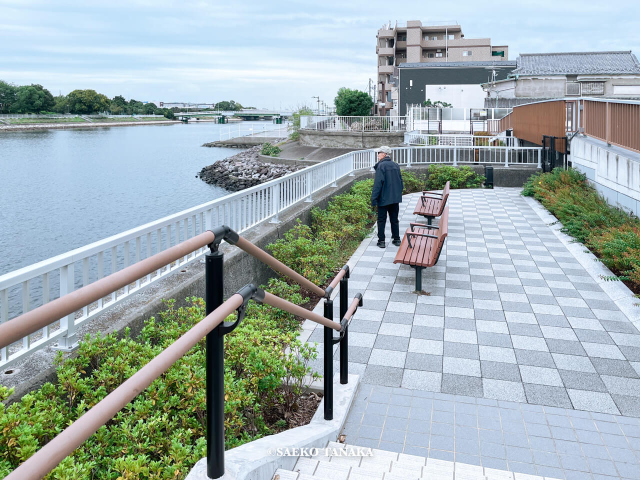 東京都大田区大森にある「大森ふるさとの浜辺公園」にて日課の散歩をする、フリーライター・カメラマン田中佐江子の父の生前の姿