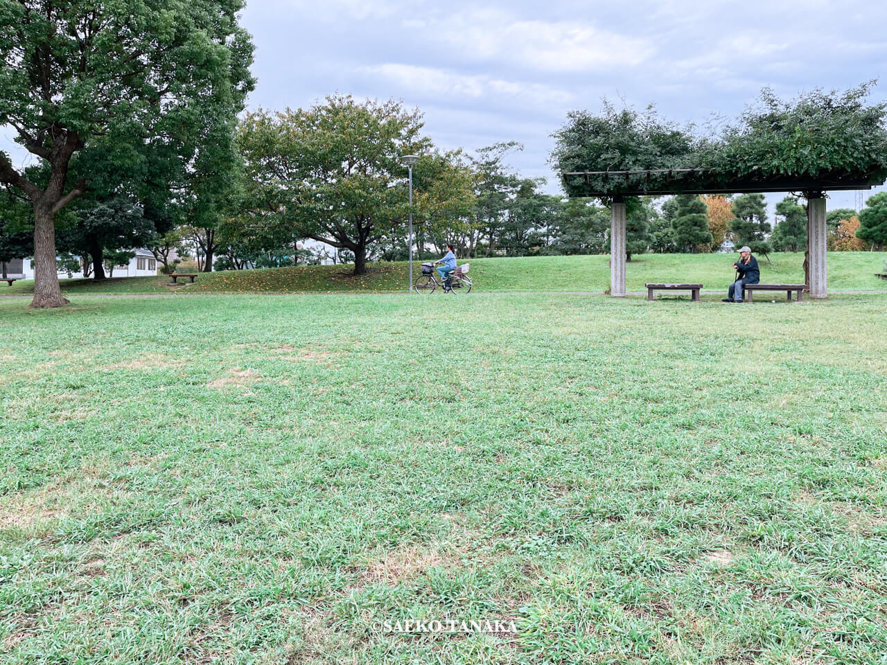 東京都大田区大森にある「大森ふるさとの浜辺公園」にて日課の散歩をする、フリーライター・カメラマン田中佐江子の父の生前の姿