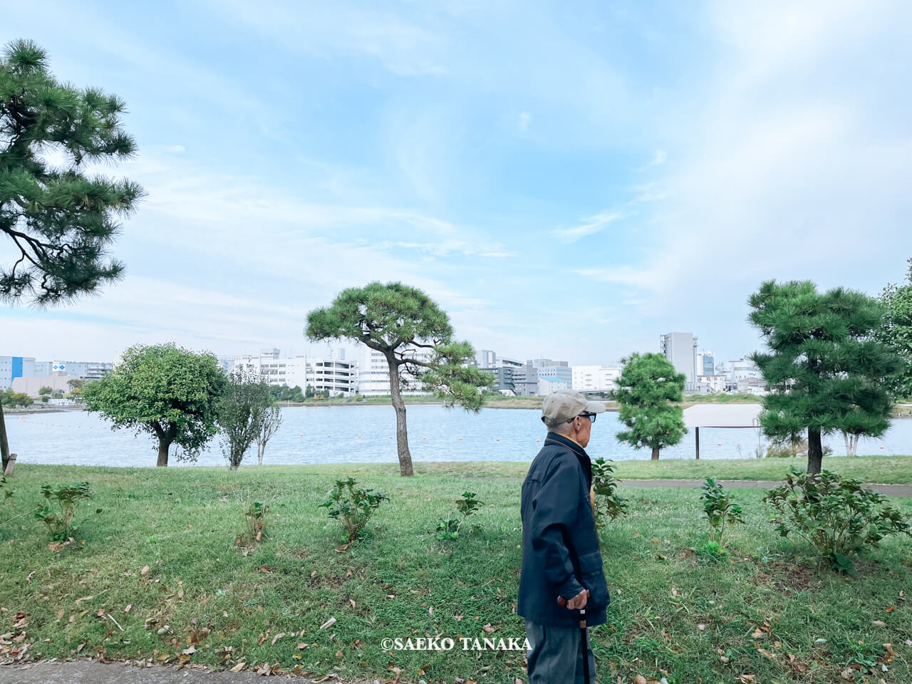 東京都大田区大森にある「大森ふるさとの浜辺公園」にて日課の散歩をする、フリーライター・カメラマン田中佐江子の父の生前の姿