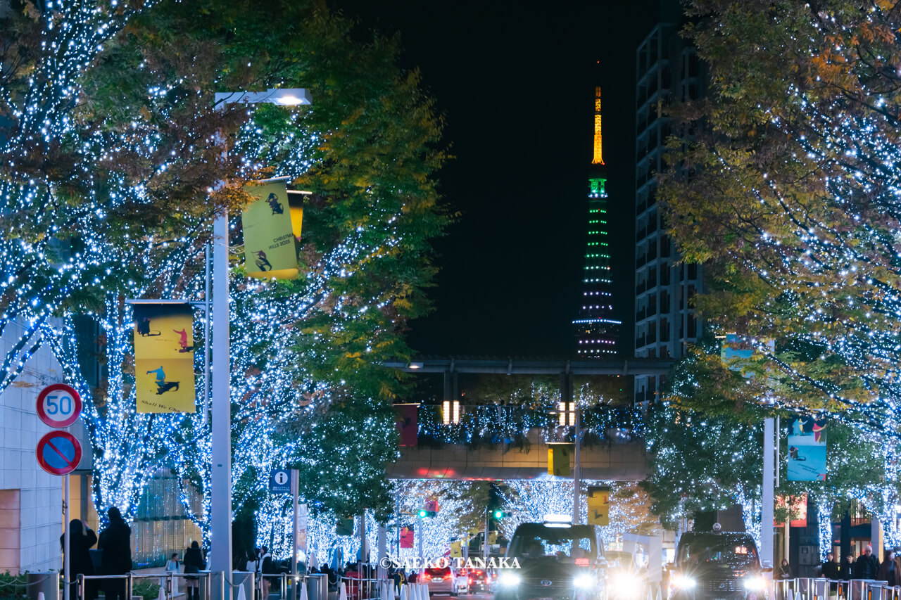 サッチマグ更新予告記事に使用した、東京・六本木の大人気イルミネーションスポット「けやき坂イルミネーション」