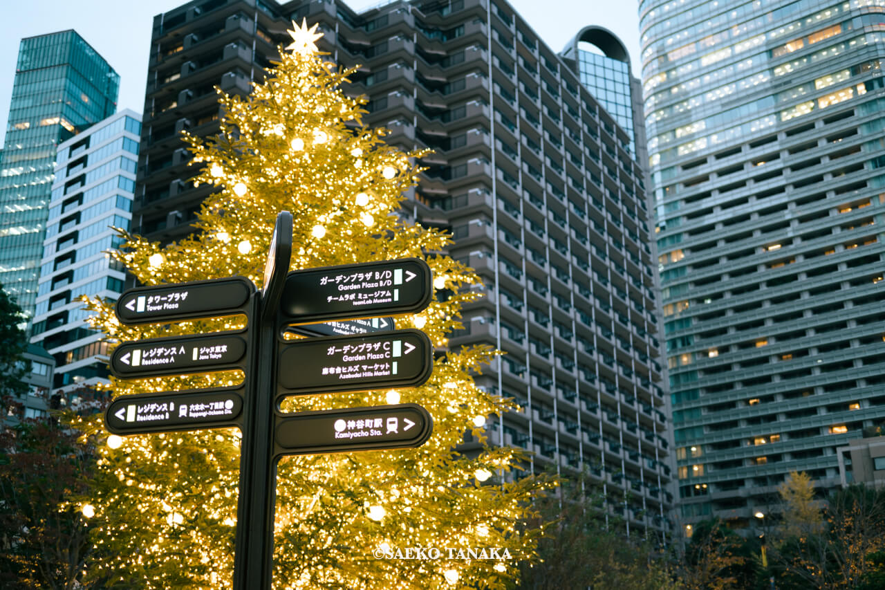 東京の人気おすすめクリスマススポット｜麻布台ヒルズのクリスマスマーケットともみの木クリスマスツリー（東京・麻布台）