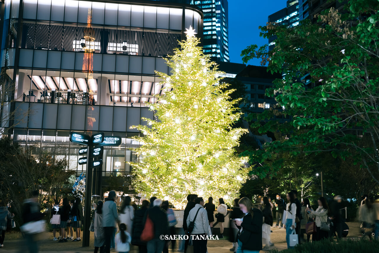 東京の人気おすすめクリスマススポット｜麻布台ヒルズのクリスマスマーケットともみの木クリスマスツリー（東京・麻布台）