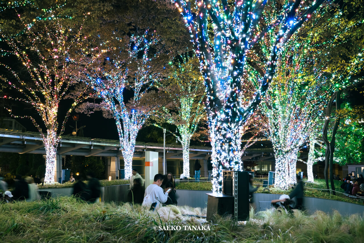 東京の人気おすすめクリスマス・イルミネーションスポット｜六本木ヒルズの66プラザのイルミネーション（東京・六本木）