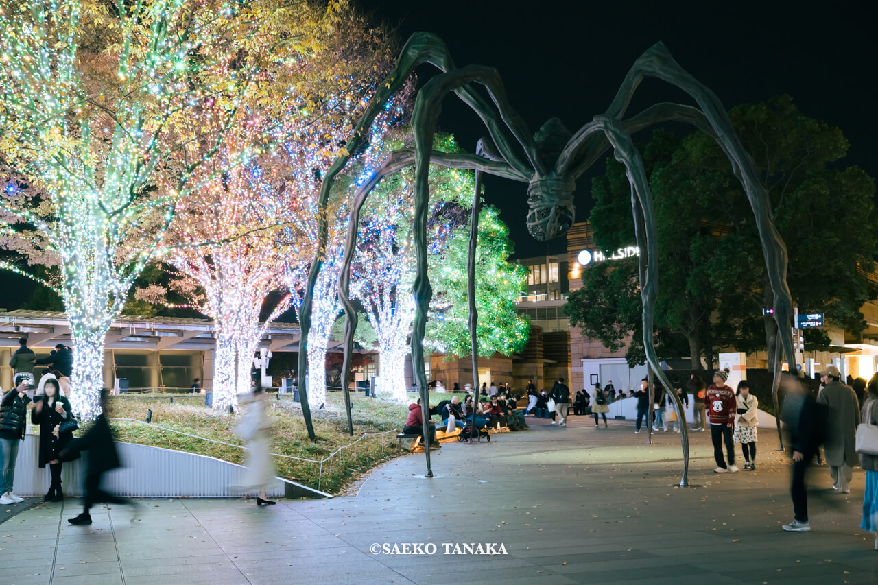 東京の人気おすすめクリスマス・イルミネーションスポット｜六本木ヒルズの66プラザのイルミネーション（東京・六本木）