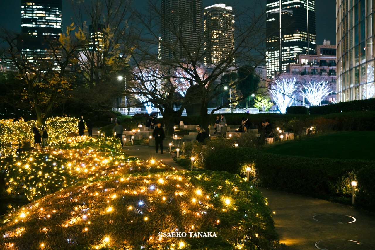 東京の人気おすすめクリスマス・イルミネーションスポット｜六本木ヒルズの毛利庭園のイルミネーション（東京・六本木）