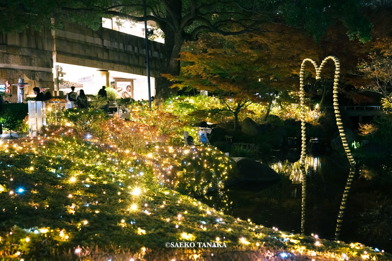 東京の人気おすすめクリスマス・イルミネーションスポット｜六本木ヒルズの毛利庭園のイルミネーション（東京・六本木）