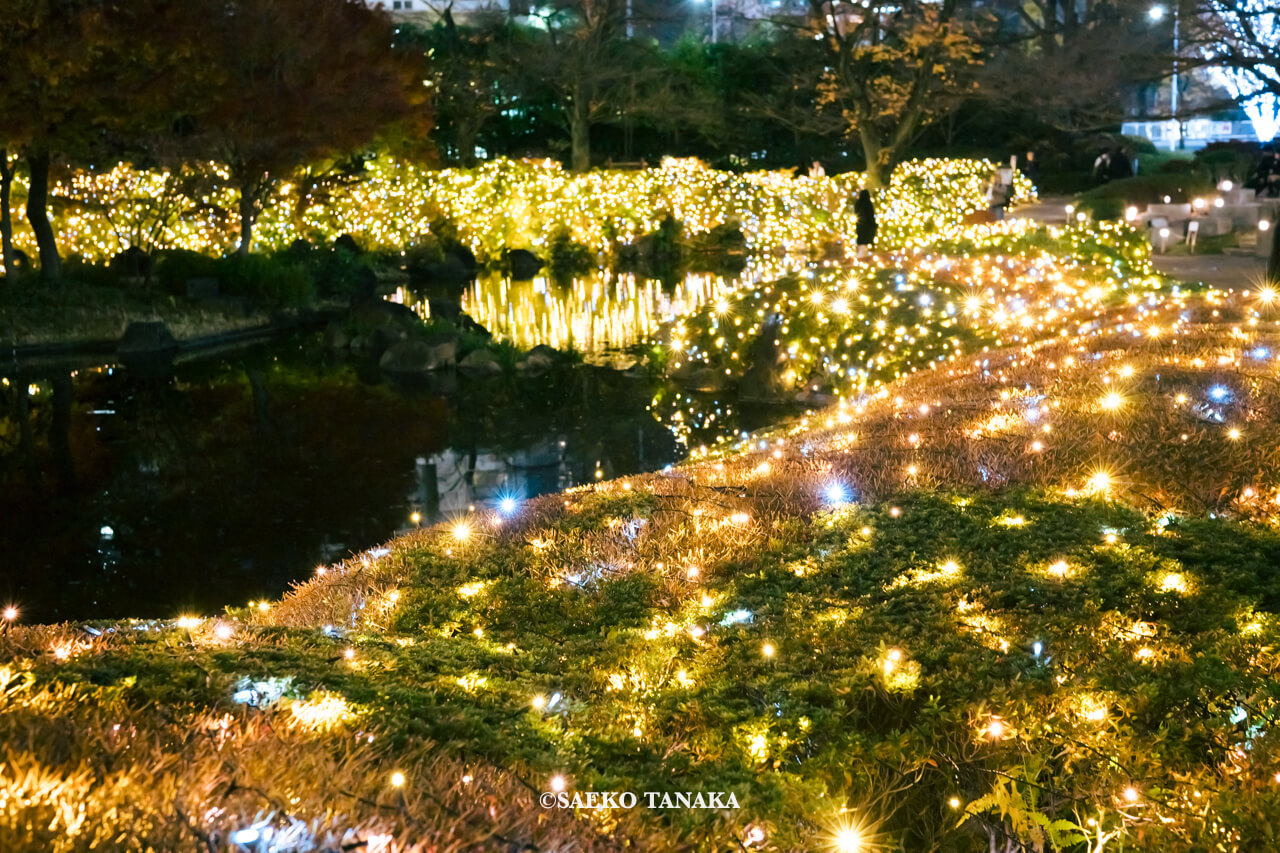 東京の人気おすすめクリスマス・イルミネーションスポット｜六本木ヒルズの毛利庭園のイルミネーション（東京・六本木）