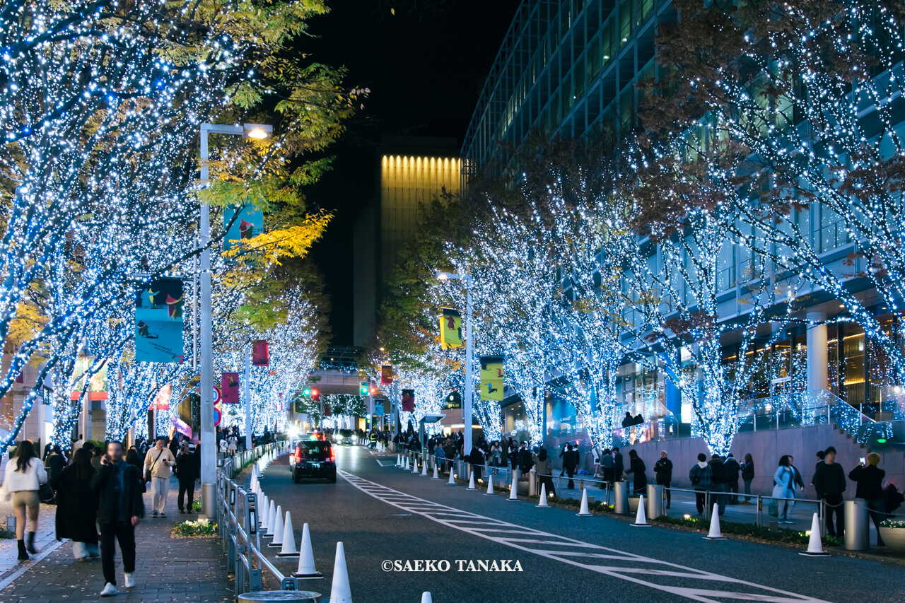 東京の人気おすすめクリスマス・イルミネーションスポット｜六本木ヒルズに隣接するけやき坂通りのけやき坂イルミネーション（東京・六本木）