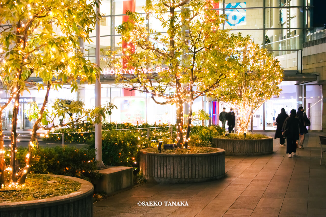 東京の人気おすすめクリスマス・イルミネーションスポット｜六本木ヒルズのイルミネーション（東京・六本木）