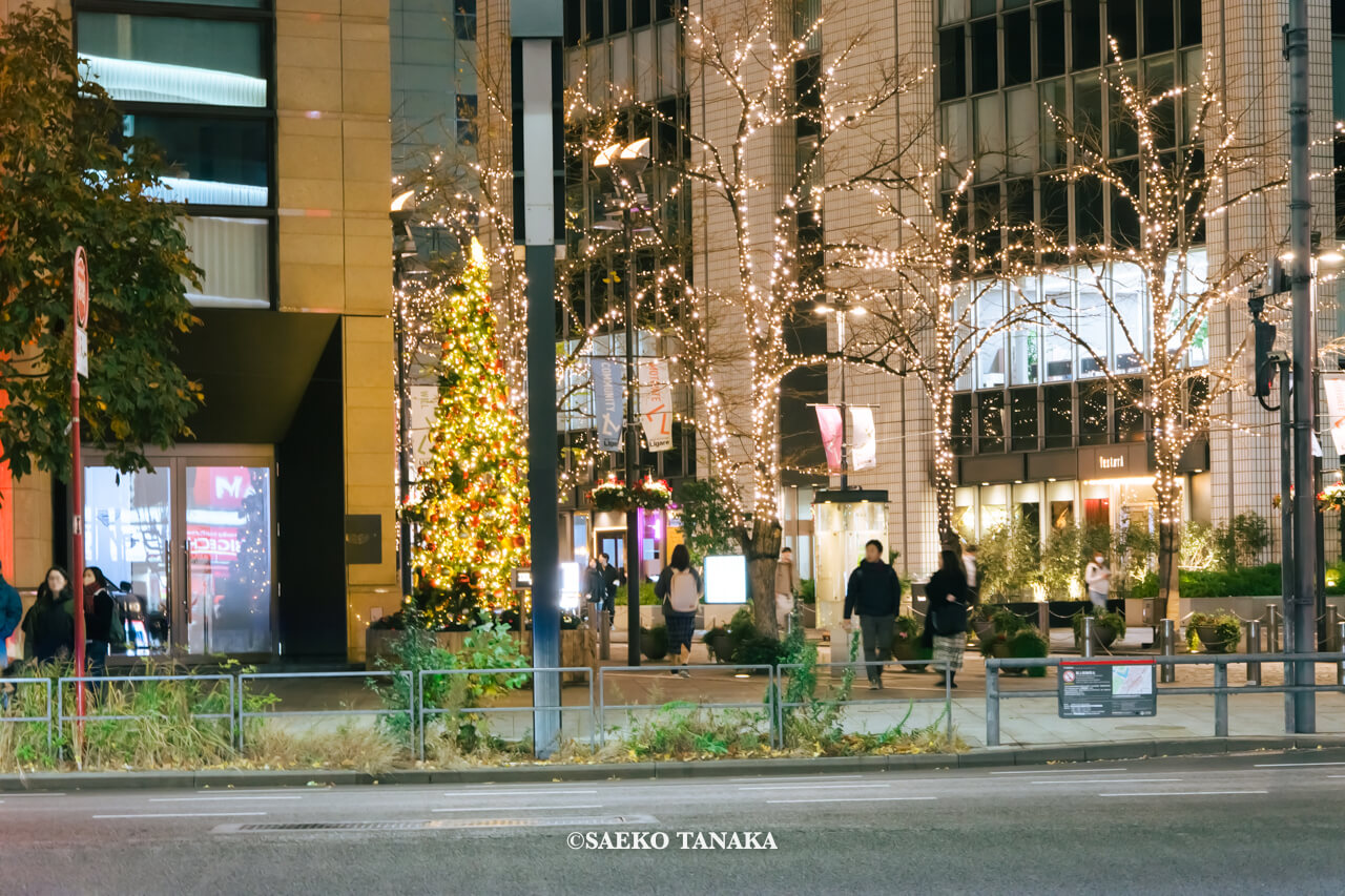 東京の人気おすすめクリスマス・イルミネーションスポット｜ザ・ペニンシュラ東京のクリスマスツリーと丸の内イルミネーション（東京・日比谷）