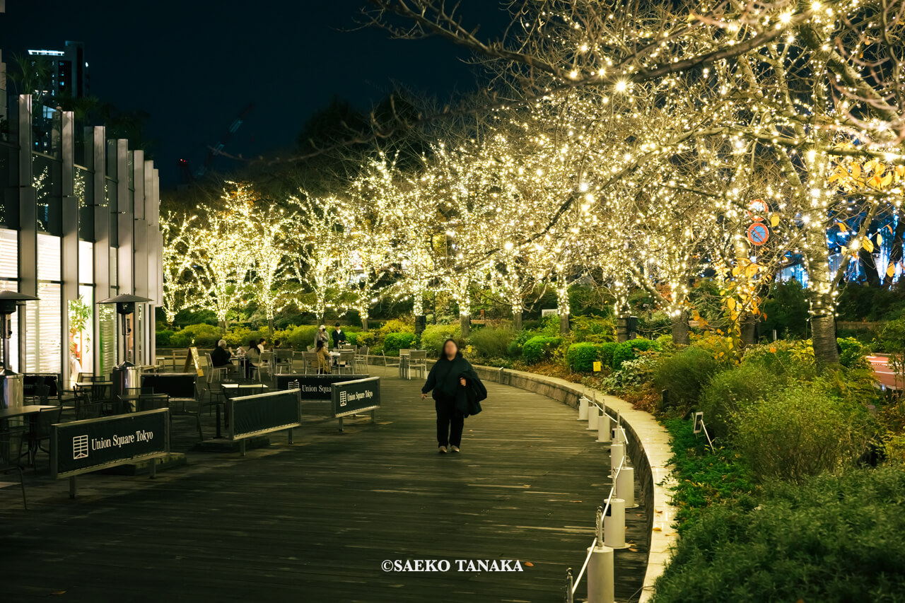 東京の人気おすすめクリスマス・イルミネーションスポット｜東京ミッドタウンのミッドタウン・ガーデンで開催されている「光の散歩道」（東京・六本木）