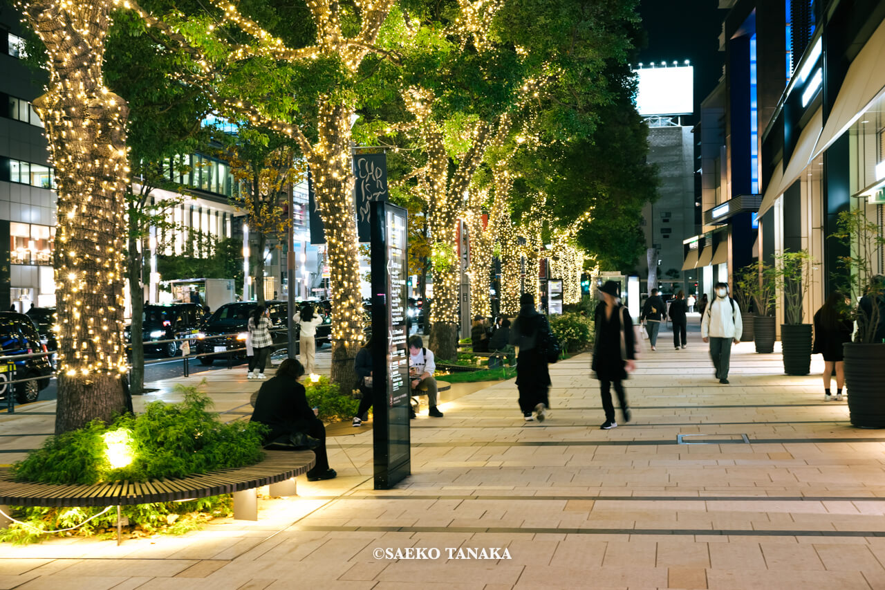 東京の人気おすすめクリスマス・イルミネーションスポット｜東京ミッドタウンのプラザ1Fで開催されている「光の散歩道」（東京・六本木）