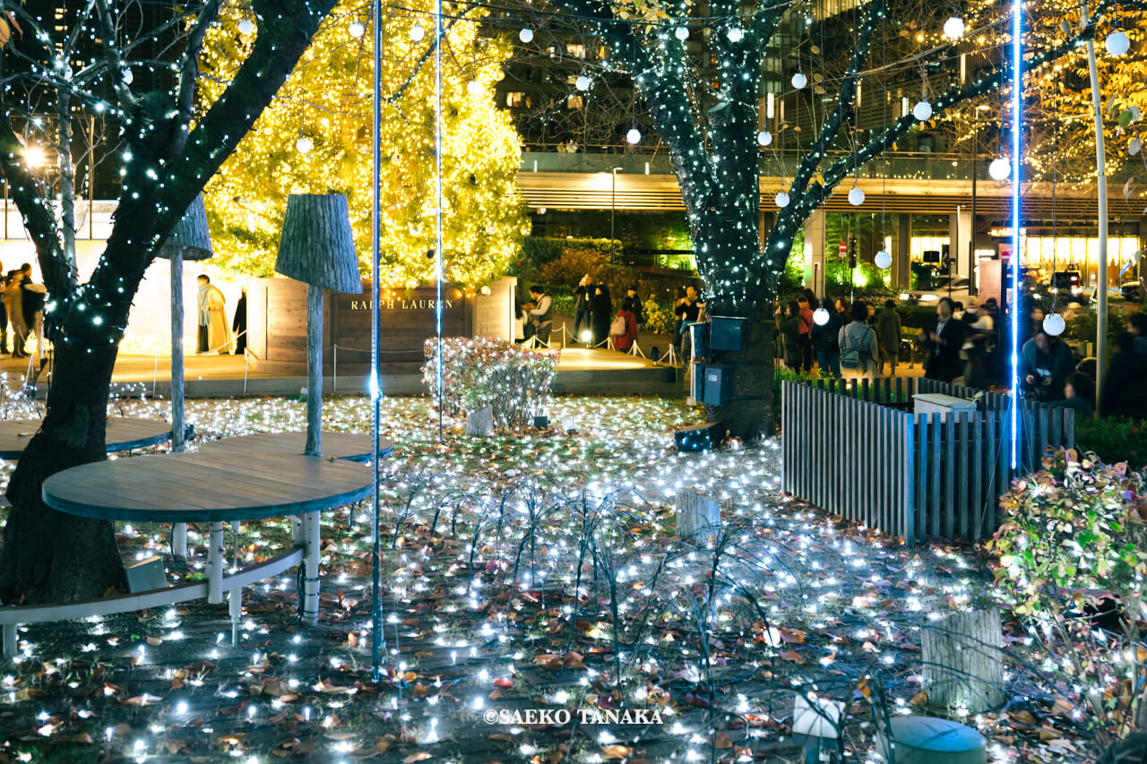 東京の人気おすすめクリスマス・イルミネーションスポット｜東京ミッドタウンのミッドタウン・ガーデンで開催されている「CHRISTMAS GARDEN LIGHTS クリスマスガーデンライツ」（東京・六本木）