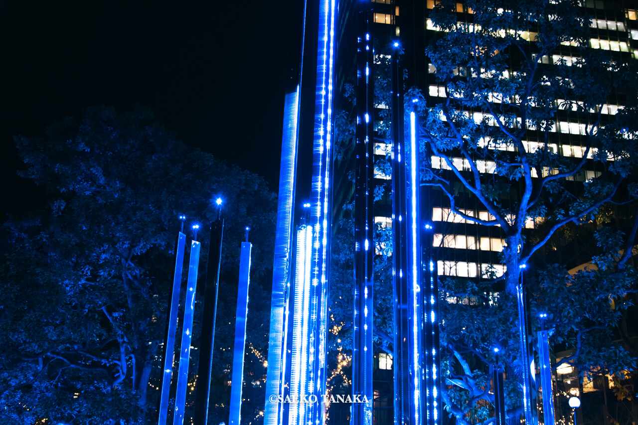 東京の人気おすすめクリスマス・イルミネーションスポット｜東京ミッドタウンのミッドタウン・ガーデンで開催されている「CHRISTMAS GARDEN LIGHTS クリスマスガーデンライツ」（東京・六本木）