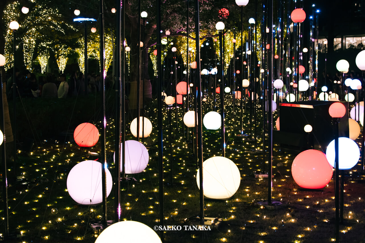 東京の人気おすすめクリスマス・イルミネーションスポット｜東京ミッドタウンのミッドタウン・ガーデンで開催されている「CHRISTMAS GARDEN LIGHTS クリスマスガーデンライツ」（東京・六本木）