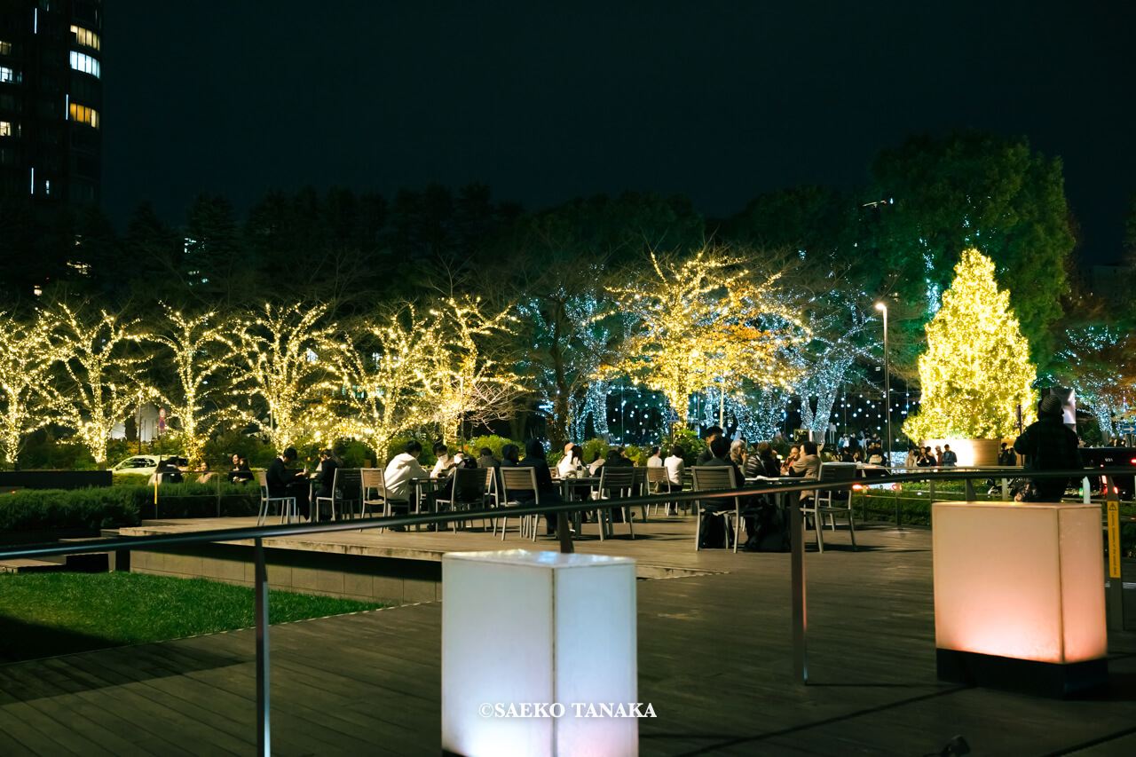 東京の人気おすすめクリスマス・イルミネーションスポット｜東京ミッドタウンのミッドタウン・ガーデンで開催されている「CHRISTMAS GARDEN LIGHTS クリスマスガーデンライツ」と「光の散歩道」（東京・六本木）