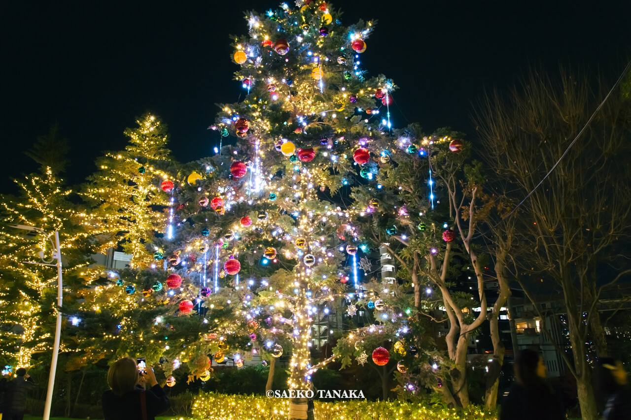 東京の人気おすすめクリスマス・イルミネーションスポット｜東京ミッドタウンのミッドタウン・ガーデンに設置されたEMOTION PALETTE TREE エモーションパレットツリー（東京・六本木）