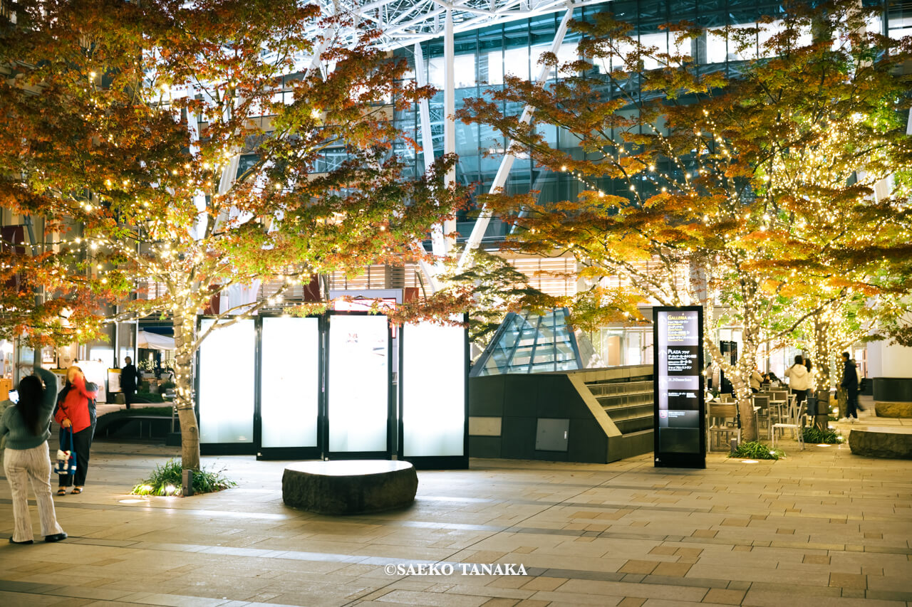 東京の人気おすすめクリスマス・イルミネーションスポット｜東京ミッドタウンのプラザ1Fで開催されている「光の散歩道」（東京・六本木）